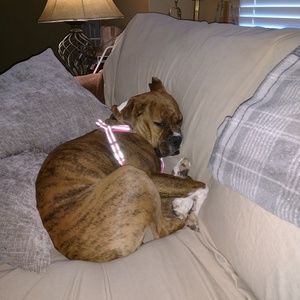 Meet your Posher, Peggy